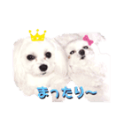 ユキルナ（個別スタンプ：2）