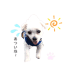 ユキルナ（個別スタンプ：3）