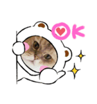 ペット達♪（個別スタンプ：3）