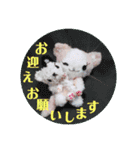 eにゃん(イーニャン)（個別スタンプ：2）
