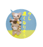 eにゃん(イーニャン)（個別スタンプ：3）