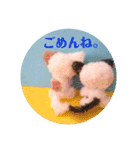 eにゃん(イーニャン)（個別スタンプ：8）