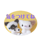 eにゃん(イーニャン)（個別スタンプ：9）