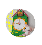 eにゃん(イーニャン)（個別スタンプ：14）