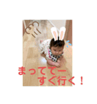 孫日常スタンプ（個別スタンプ：15）