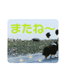 ろめスタンプ☆ver.2（個別スタンプ：3）