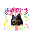 ろめスタンプ☆ver.2（個別スタンプ：10）