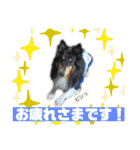 ろめスタンプ☆ver.2（個別スタンプ：15）