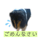 ろめスタンプ☆ver.2（個別スタンプ：22）