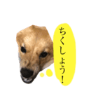 くるみ2歳（個別スタンプ：4）