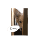 くるみ2歳（個別スタンプ：6）