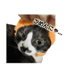 ゆる猫きなこ（個別スタンプ：7）