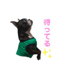 ボステリこてり（個別スタンプ：26）