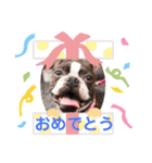 ボステリこてり（個別スタンプ：28）