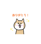 ゆるゆる柴犬たちの日常（個別スタンプ：1）