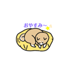 ゆるゆる柴犬たちの日常（個別スタンプ：3）