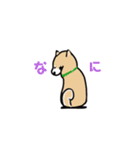 ゆるゆる柴犬たちの日常（個別スタンプ：7）