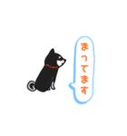 ゆるゆる柴犬たちの日常（個別スタンプ：11）