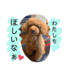 茶妃狗（個別スタンプ：37）