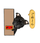 黒のパグ犬（個別スタンプ：7）