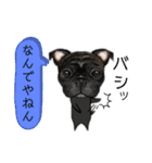 黒のパグ犬（個別スタンプ：17）