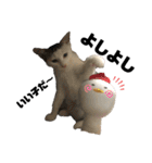 うちのタラトロ時々にわとり（個別スタンプ：37）