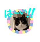 うちのにゃろ（個別スタンプ：3）