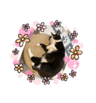 うちのにゃろ（個別スタンプ：6）