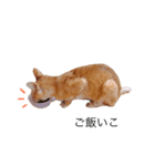 my猫くん*2（個別スタンプ：2）