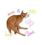 my猫くん*2（個別スタンプ：8）