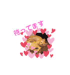 茶トラの姫Part2（個別スタンプ：3）