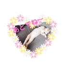 茶トラの姫Part2（個別スタンプ：4）