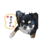 あにゃたんスタンプ1（個別スタンプ：14）