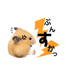 キンクマハムスターのぽてちゃん（個別スタンプ：14）