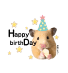 キンクマハムスターのぽてちゃん（個別スタンプ：16）