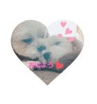 ミロ君と愉快な仲間たち（個別スタンプ：3）
