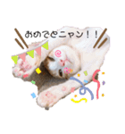 猫のこむぎの日常（個別スタンプ：15）