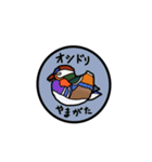 日本の鳥-北海道・東北・関東-（個別スタンプ：6）