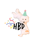 しらたまくんスタンプ①（個別スタンプ：8）