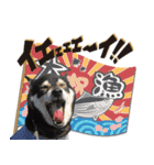 黒柴金時（個別スタンプ：14）