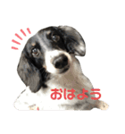 ぴのさ〜〜ん（個別スタンプ：1）