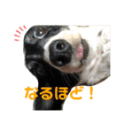 ぴのさ〜〜ん（個別スタンプ：4）