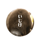 ウサギのこすえ（個別スタンプ：4）