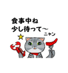 僕はサバトラ柄でーす3（個別スタンプ：21）