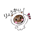 マンチカンのエリックくん2♪（個別スタンプ：3）