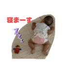 Remy ③（個別スタンプ：4）