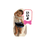 Remy ③（個別スタンプ：5）