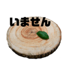 うさぎのこむぎさん⑥（個別スタンプ：1）