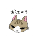 猫のいる家族（個別スタンプ：1）