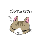 猫のいる家族（個別スタンプ：2）